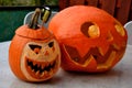 Girl holding in her hand a small bird who stunned by the window. sits him on a halloween pumpkin with a scary face. puts a great t Royalty Free Stock Photo