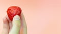 The girl is holding a juicy strawberry on a pink background. strawberry in her hand. Ripe, red strawberries. copy space. Royalty Free Stock Photo