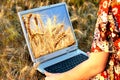 Girl holding a laptop in arms in wheat chain