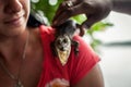 Girl holding a little crocodile. Crocodile showing teeth structure at gator farm in the everglades Royalty Free Stock Photo