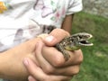 Girl with a lizzard