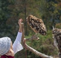 A girl holding an owl on a tree branch