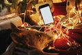 girl holding phone with empty screen and hugging dog under golden beautiful christmas tree with lights and presents in festive Royalty Free Stock Photo