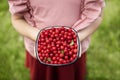girl holding a plate of ripe red cherries Royalty Free Stock Photo