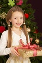 Girl Holding Present In Front Of Christmas Tree Royalty Free Stock Photo