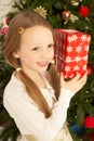 Girl Holding Present In Front Of Christmas Tree Royalty Free Stock Photo