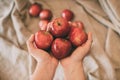 Girl holding red fresh apples in hand. Organic and healthy fruit. Close up view of red apples.