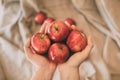 Girl holding red fresh apples in hand. Organic and healthy fruit. Close up view of red apples.