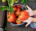 The girl is holding a red tomato.