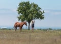 Girl holding reins of horse