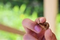 girl is holding a small snail in her hand. The child studies the world and nature. Space for copying.