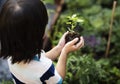 Girl Holding Soil Green Plant