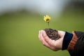 girl holding a soil sample on a farm in Australia Royalty Free Stock Photo