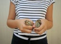 Girl holding two baby quail chicks on a summer day