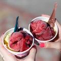 The girl is holding two cups of delicious fruit ice cream, sorbet. Selection of gourmet flavours of ice cream in individual plasti Royalty Free Stock Photo