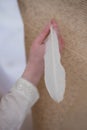 girl holding white bird feather