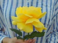 Girl holding yellow rose. Royalty Free Stock Photo