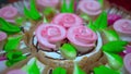 The girl holds a beautiful holiday cake Royalty Free Stock Photo