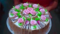 The girl holds a beautiful holiday cake Royalty Free Stock Photo