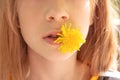 Girl holds a dandelion flower in her mouth Royalty Free Stock Photo