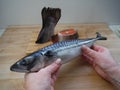 a girl holds a fish in her hands over the table Royalty Free Stock Photo