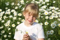 The girl holds in a hand of a camomile