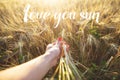 Girl holds a hand sprout wheat, inscription love you sun