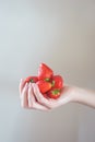 Girl holds a handful of fresh pure strawberries in her palms.