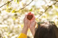 The girl holds the heart in his hands. heart in hand. Concept of healthy, love, organ, donor, hope and cardiology donation. Royalty Free Stock Photo