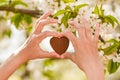 The girl holds the heart in his hands. heart in hand. Concept of healthy, love, organ, donor, hope and cardiology donation. Royalty Free Stock Photo