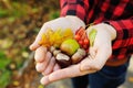 Girl holds her hands on autumn leaves, acorns, berries and hazelnuts