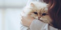 girl holds in her hands and hugs a cute cream fluffy kitten, best anti-stress, Lets Hug, banner, copy space