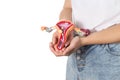 The girl holds in her hands a medical model of the female reproductive system on a white background. Concept of