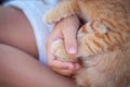 The girl holds the kitten`s paw in her hands. Friendship of a cat and a child. Summer vacation Royalty Free Stock Photo