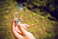 The girl holds a light bulb with hearts inside on a background of young green plants. the concept of love and innocence