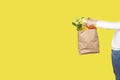 Girl holds a paper bag filled with groceries such as fruits, vegetables, milk, yogurt, eggs isolated on yellow