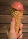 Girl holds cornet ice cream Royalty Free Stock Photo