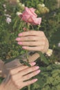 A girl holds pink rose flower by hands with beauti