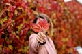 Girl holds a red autumn leaf of wild grapes Royalty Free Stock Photo