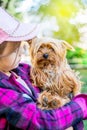 The girl holds a small dog breed Yorkshire Terrier on her hands_ Royalty Free Stock Photo