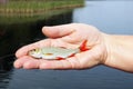 The girl holds a small live fish on her palm, which she caught i