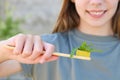 The girl holds a toothbrush with mint in her hand. Selective focus on the mint toothbrush Royalty Free Stock Photo