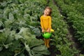 A girl holds a watering can with water to Watering the vegetable garden Royalty Free Stock Photo