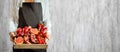 Girl holds wooden tray with fresh red vegetables and fruits on grey background. Healthy eating vegetarian concept. Royalty Free Stock Photo