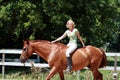 Girl on a horse Royalty Free Stock Photo