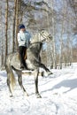 Girl horse dressage