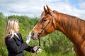 Girl with horse.Friendship Royalty Free Stock Photo