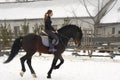 A girl on a horse jumps gallops. A girl trains riding a horse in a small paddock. A cloudy winter day