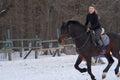 A girl on a horse jumps gallops. A girl trains riding a horse in a small paddock. A cloudy winter day Royalty Free Stock Photo