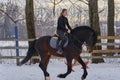 A girl on a horse jumps gallops. A girl trains riding a horse in a small paddock. A cloudy winter day Royalty Free Stock Photo